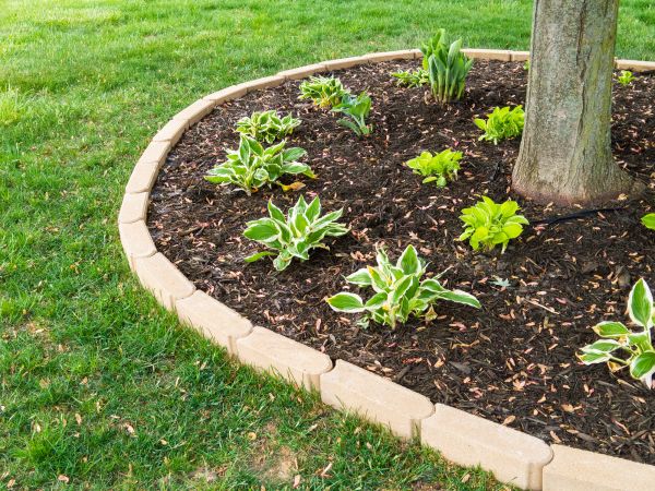 Garden Bed Curbing